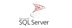 SQL Server Reporting Services (SSRS) Card image cap